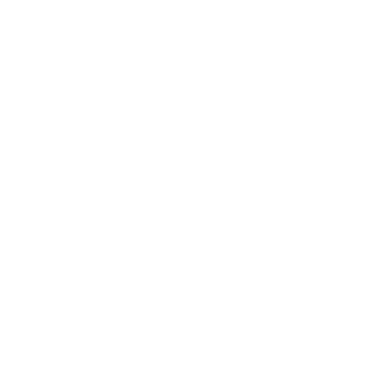 Consulting and Advisory Services