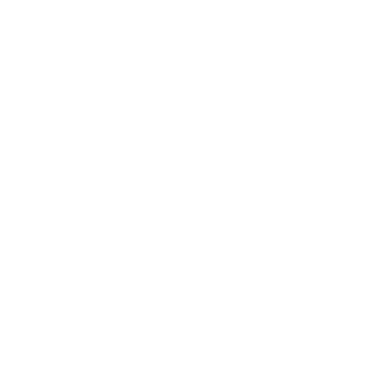 Import and Export Solutions