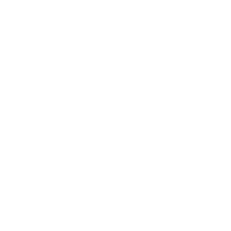 Customer Support and After-Sales Service